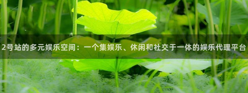 今年会app